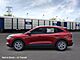 2026 Ford Escape Active Oshkosh WI
