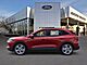 2026 Ford Escape Hybrid ST-Line Select Oshkosh WI