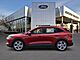 2026 Ford Escape Hybrid ST-Line Select Oshkosh WI