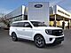 2026 Ford Expedition Active Oshkosh WI