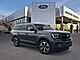 2026 Ford Expedition Active Oshkosh WI 2026 Ford Expedition Active Oshkosh WI