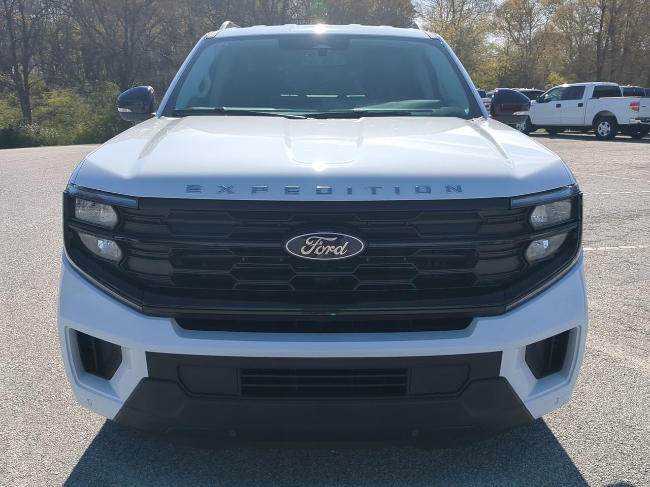 2026 Ford Expedition Active Winder GA