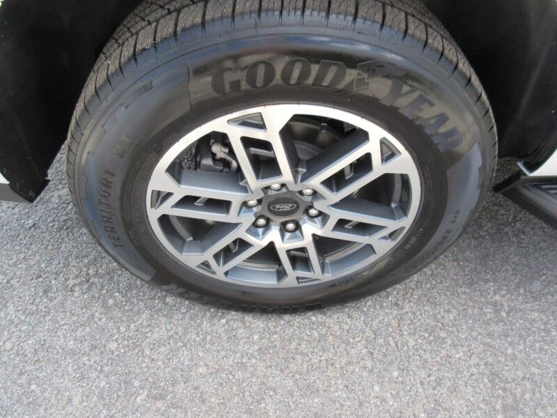 2026 Ford Expedition Max Active St. George SC