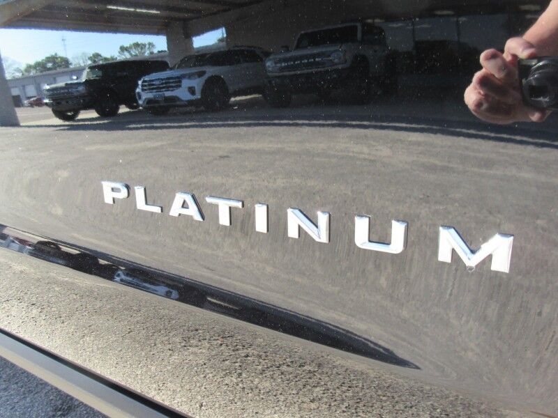 2026 Ford Expedition Max Platinum St. George SC
