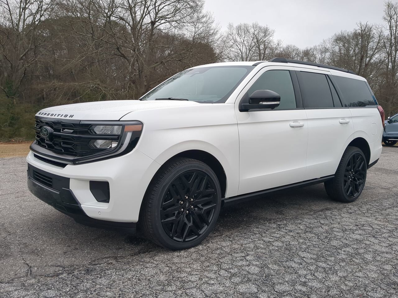 2026 Ford Expedition Platinum Appleton WI