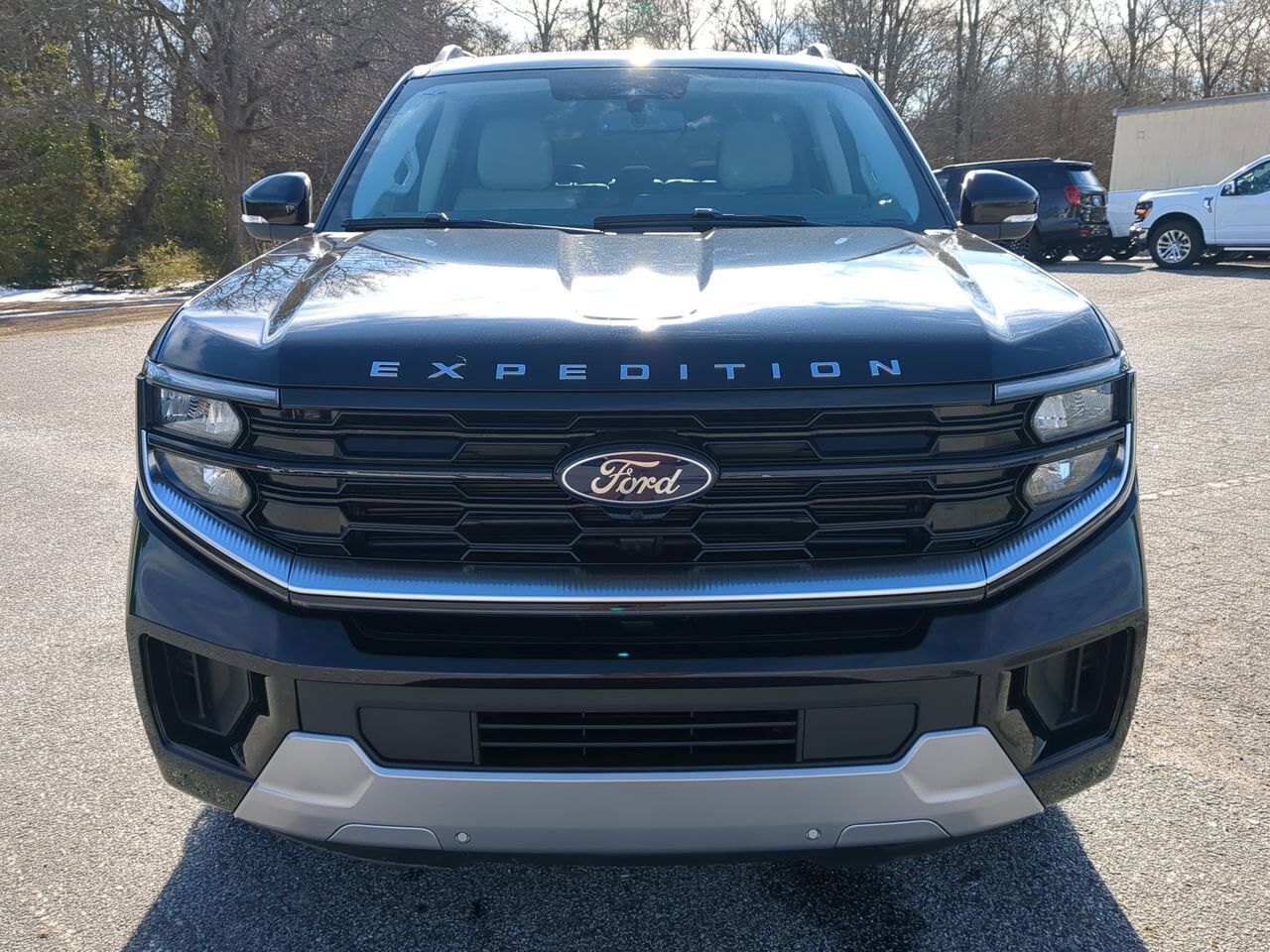 2026 Ford Expedition Platinum Appleton WI