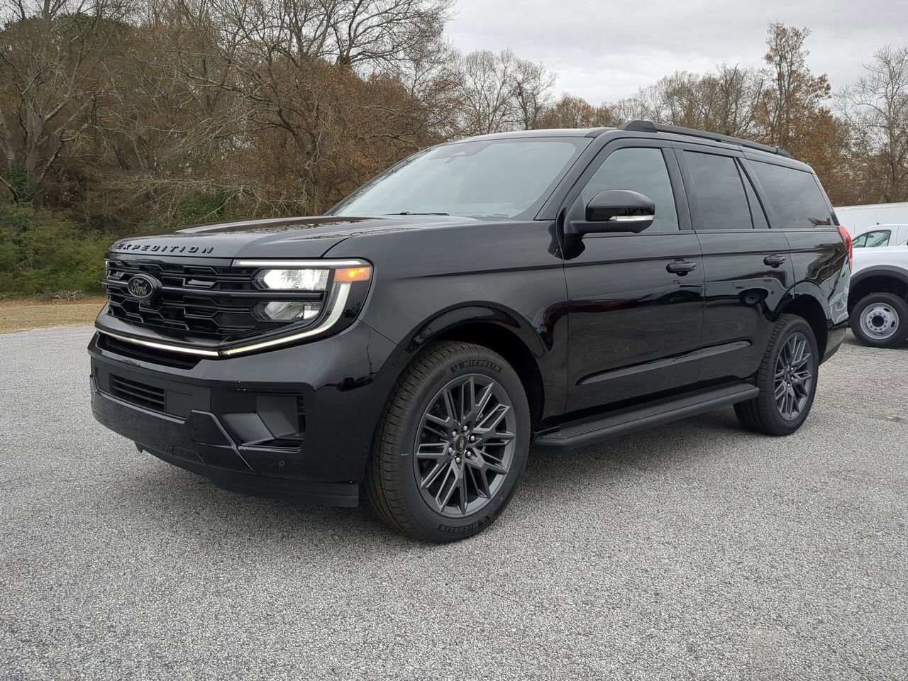 2026 Ford Expedition Platinum Winder GA