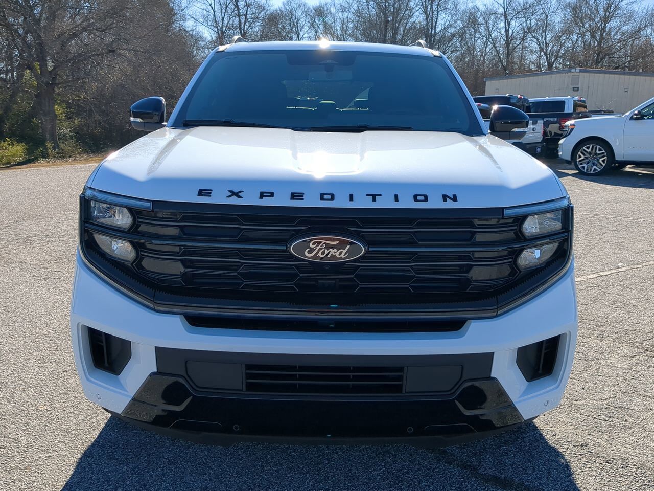 2026 Ford Expedition Platinum Winder GA