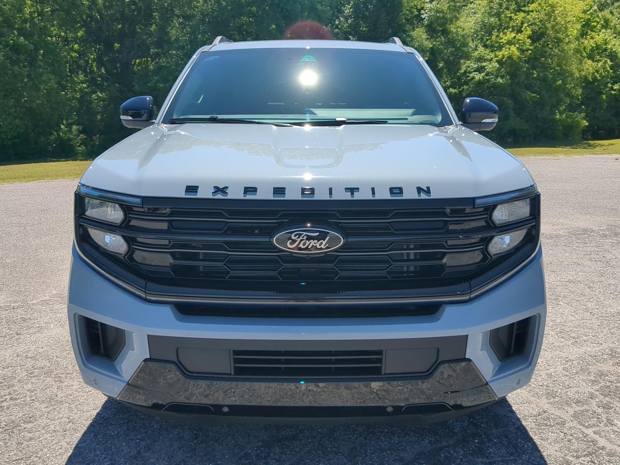 2026 Ford Expedition Platinum Winder GA