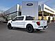 2026 Ford F-150 Platinum Oshkosh WI