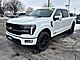 2026 Ford F-150 Platinum Oshkosh WI