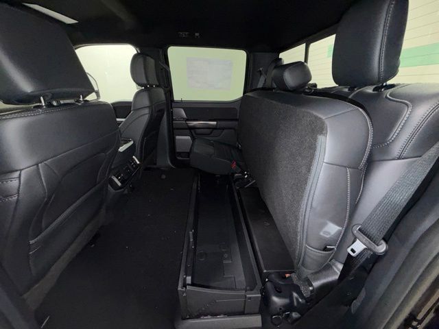 2026 Ford F-150 Platinum Pine River MN