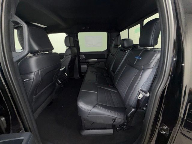 2026 Ford F-150 Platinum Pine River MN