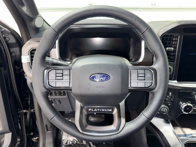 2026 Ford F-150 Platinum Pine River MN