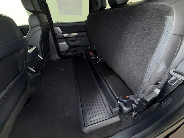 2026 Ford F-150 Platinum Pine River MN