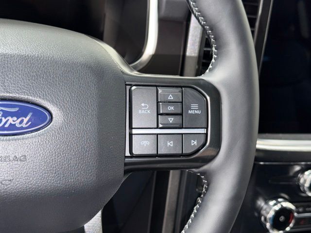 2026 Ford F-150 Platinum Pine River MN