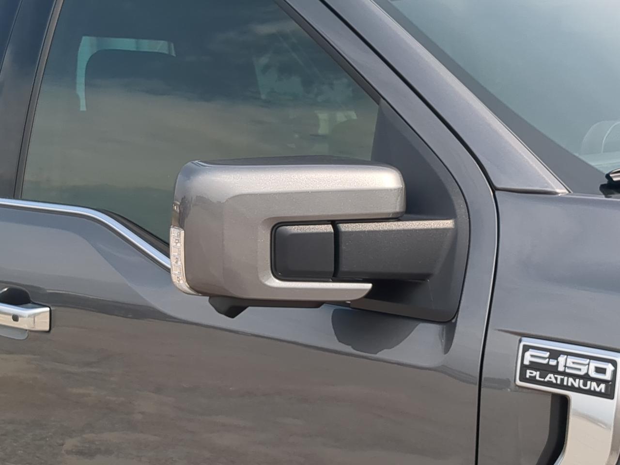 2026 Ford F-150 Platinum Plus Winder GA