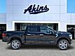 2026 Ford F-150 Platinum Plus