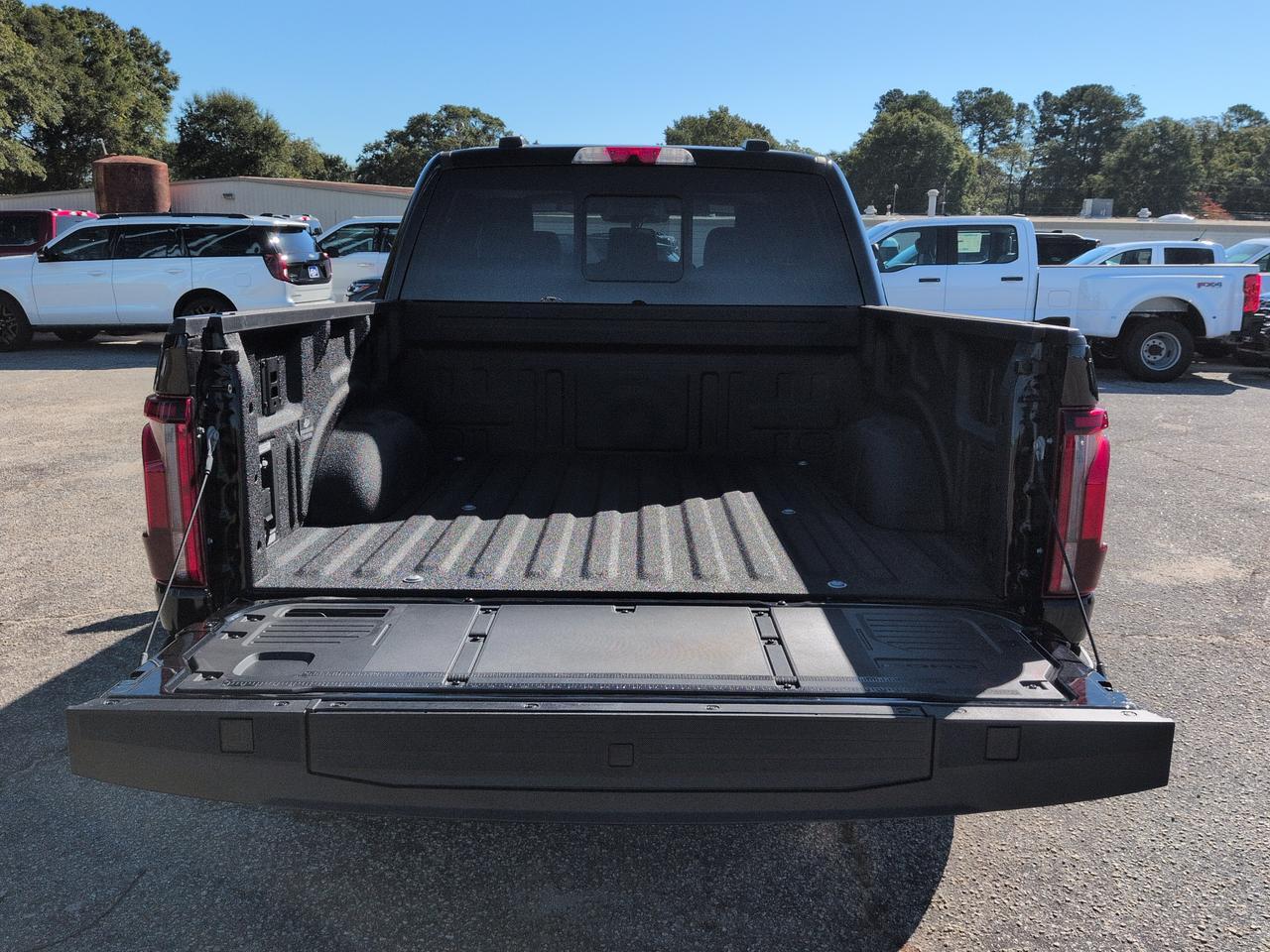 2026 Ford F-150 Platinum Plus Winder GA