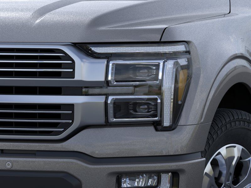 2026 Ford F-150 Platinum Winder GA