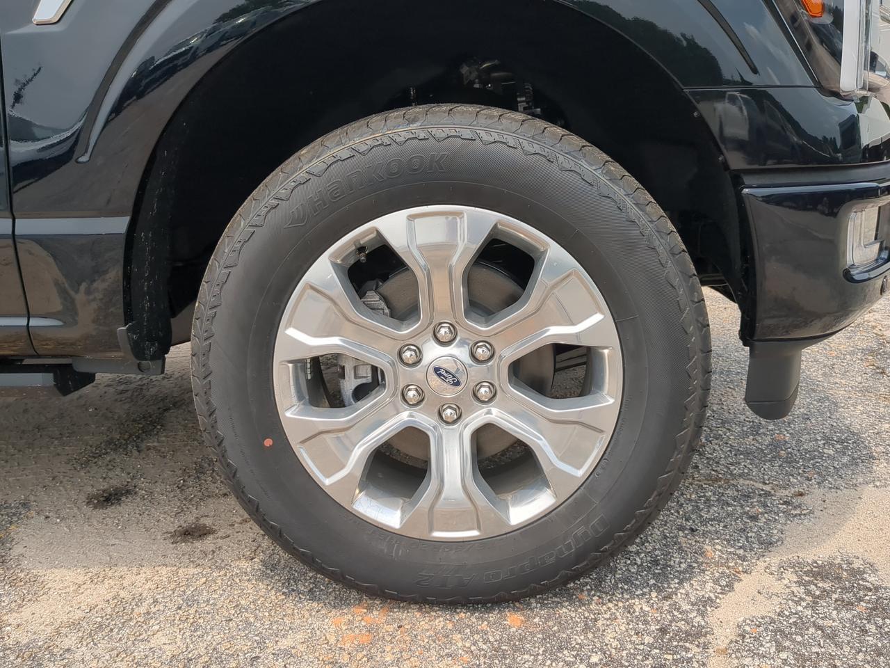 2026 Ford F-150 Platinum Winder GA