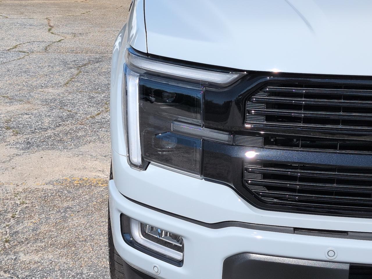 2026 Ford F-150 Platinum Winder GA