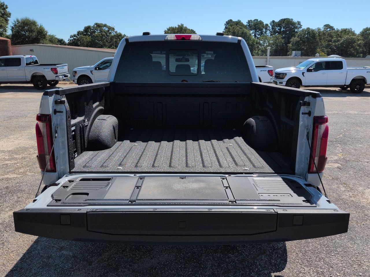 2026 Ford F-150 Platinum Winder GA
