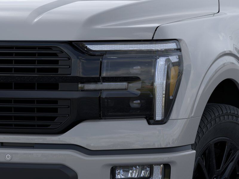 2026 Ford F-150 Platinum Winder GA