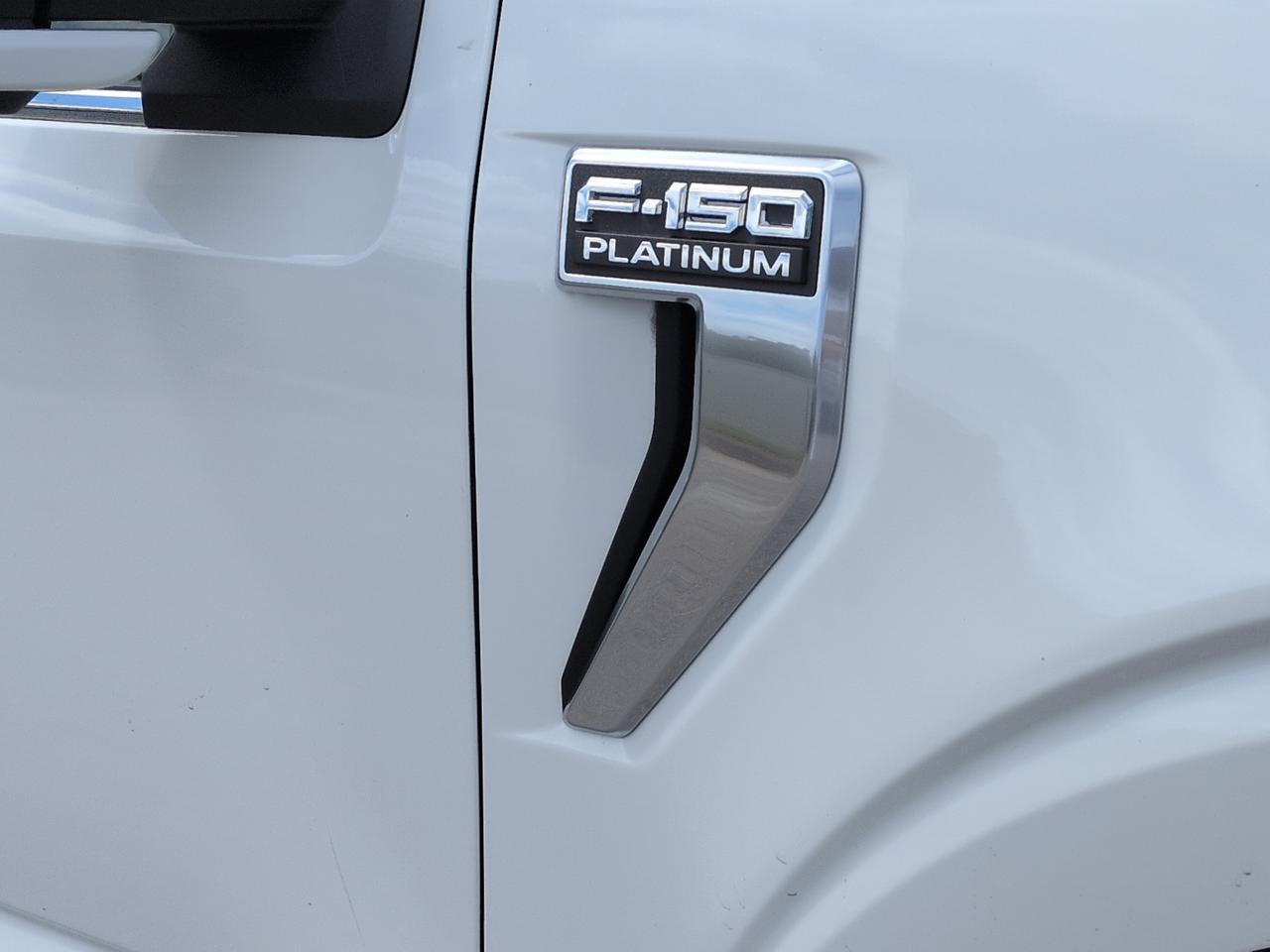2026 Ford F-150 Platinum Winder GA