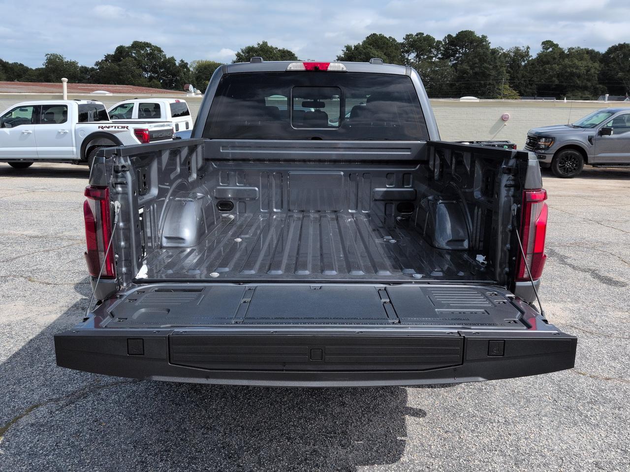 2026 Ford F-150 Platinum Winder GA