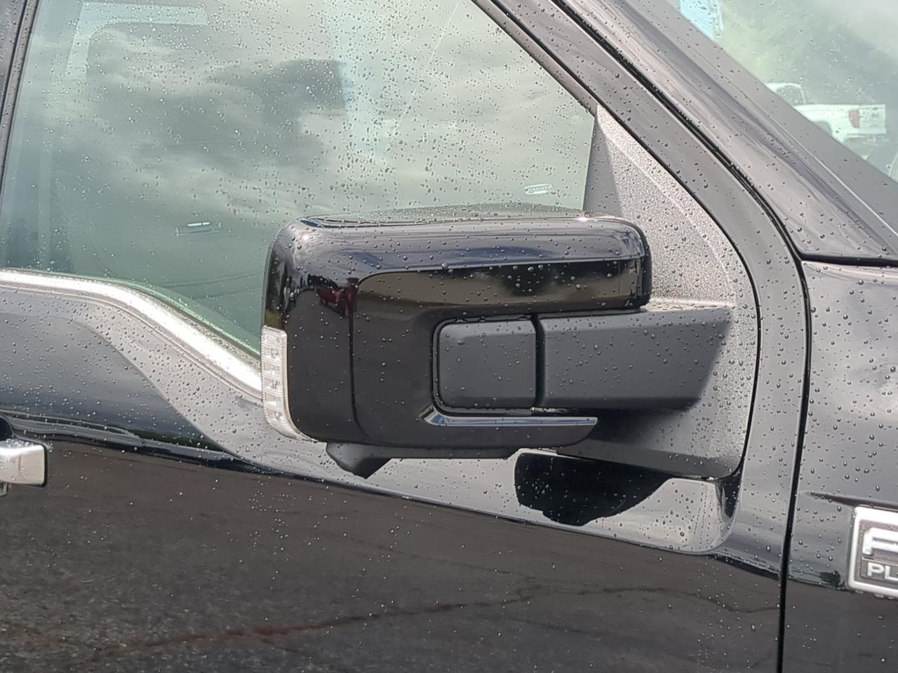 2026 Ford F-150 Platinum Winder GA