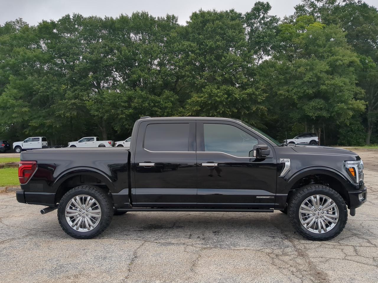 2026 Ford F-150 Platinum Winder GA