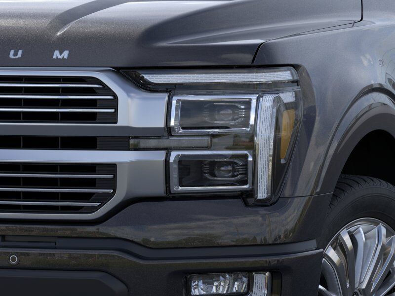 2026 Ford F-150 Platinum Winder GA