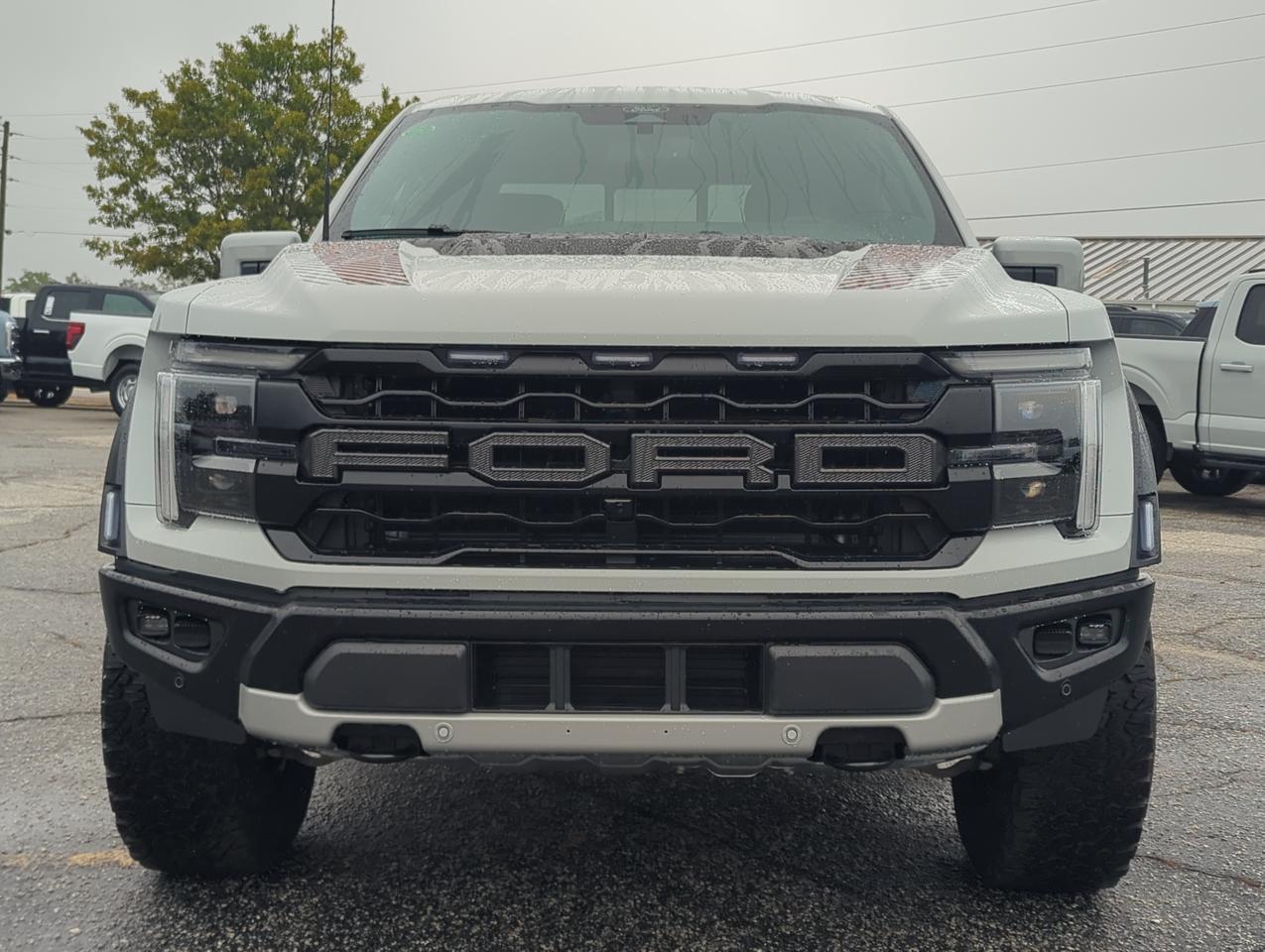 2026 Ford F-150 Raptor Winder GA