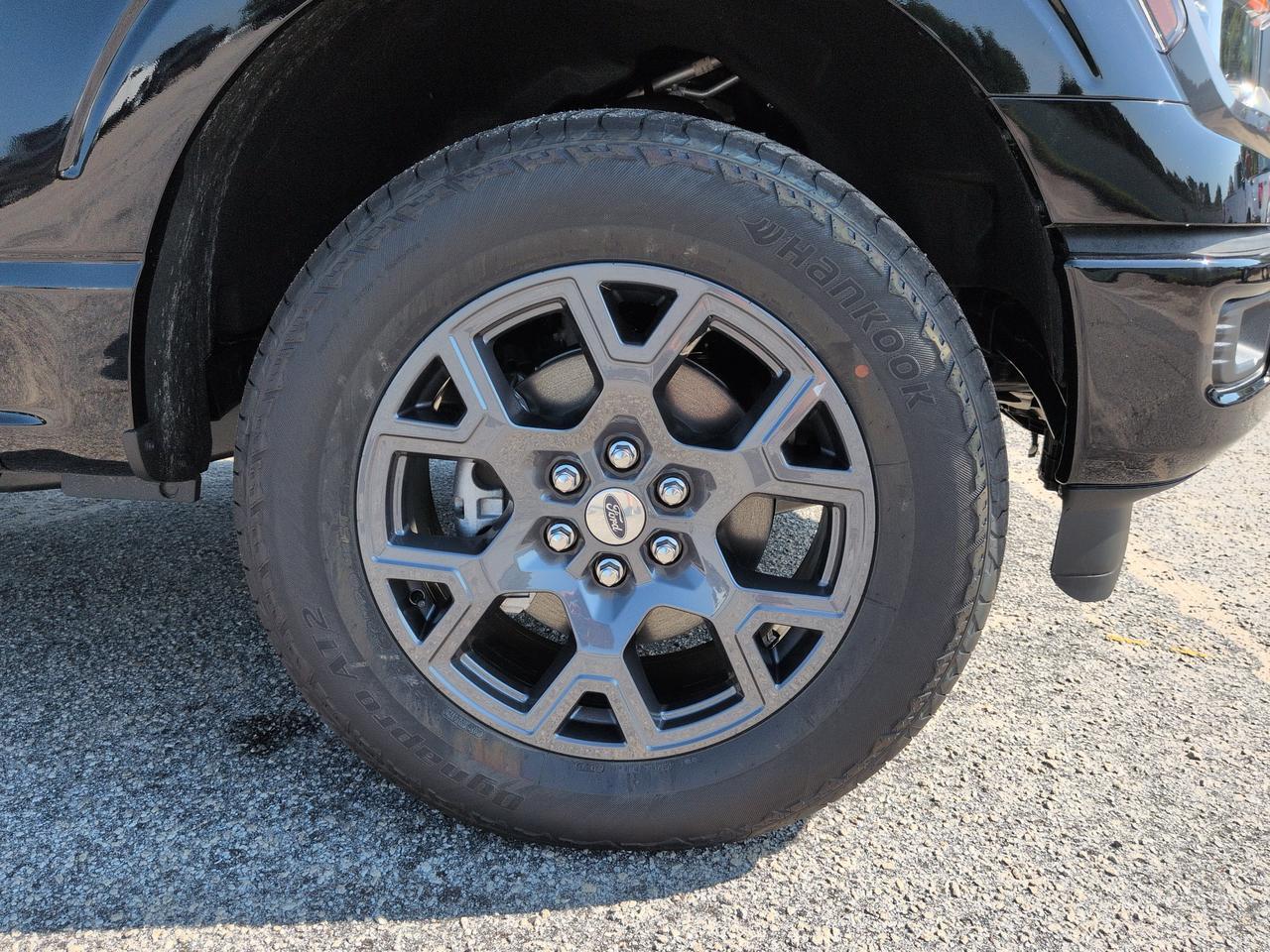 2026 Ford F-150 STX Winder GA