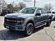 2026 Ford F-150 Tremor Oshkosh WI