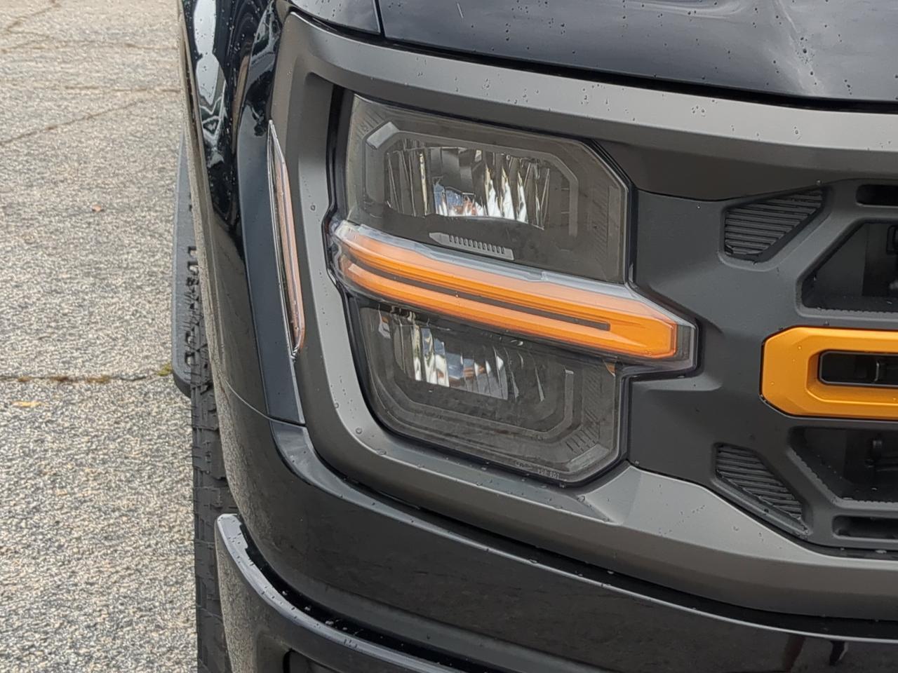 2026 Ford F-150 Tremor Winder GA