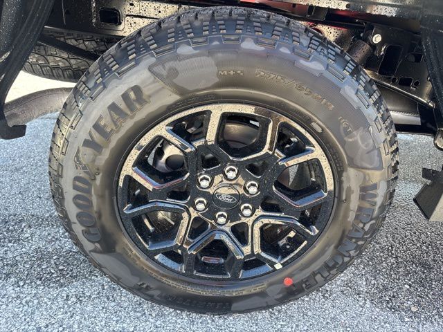 2026 Ford F-150 XLT Random Lake WI