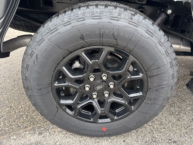 2026 Ford F-150 XLT Random Lake WI