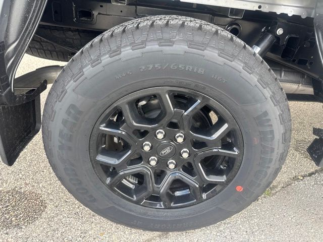 2026 Ford F-150 XLT Random Lake WI