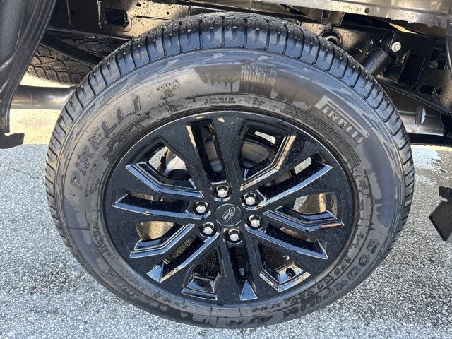 2026 Ford F-150 XLT Random Lake WI