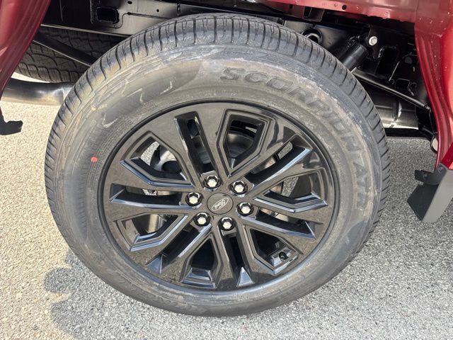 2026 Ford F-150 XLT Random Lake WI