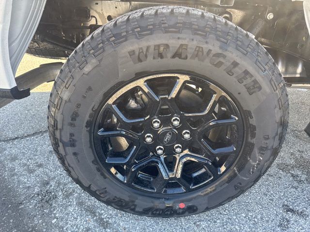 2026 Ford F-150 XLT Random Lake WI