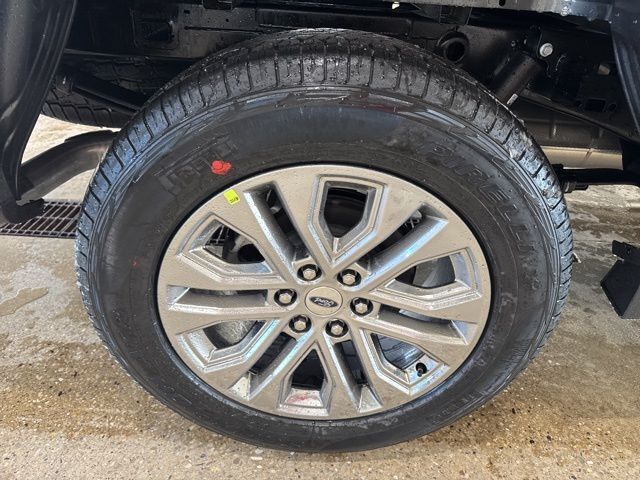 2026 Ford F-150 XLT Random Lake WI