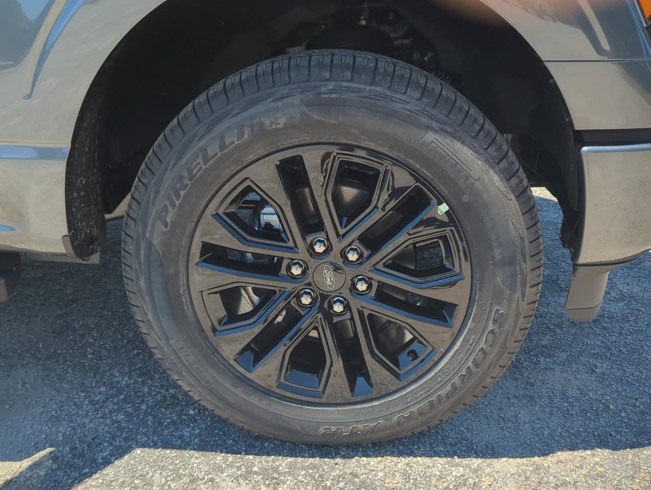 2026 Ford F-150 XLT Appleton WI