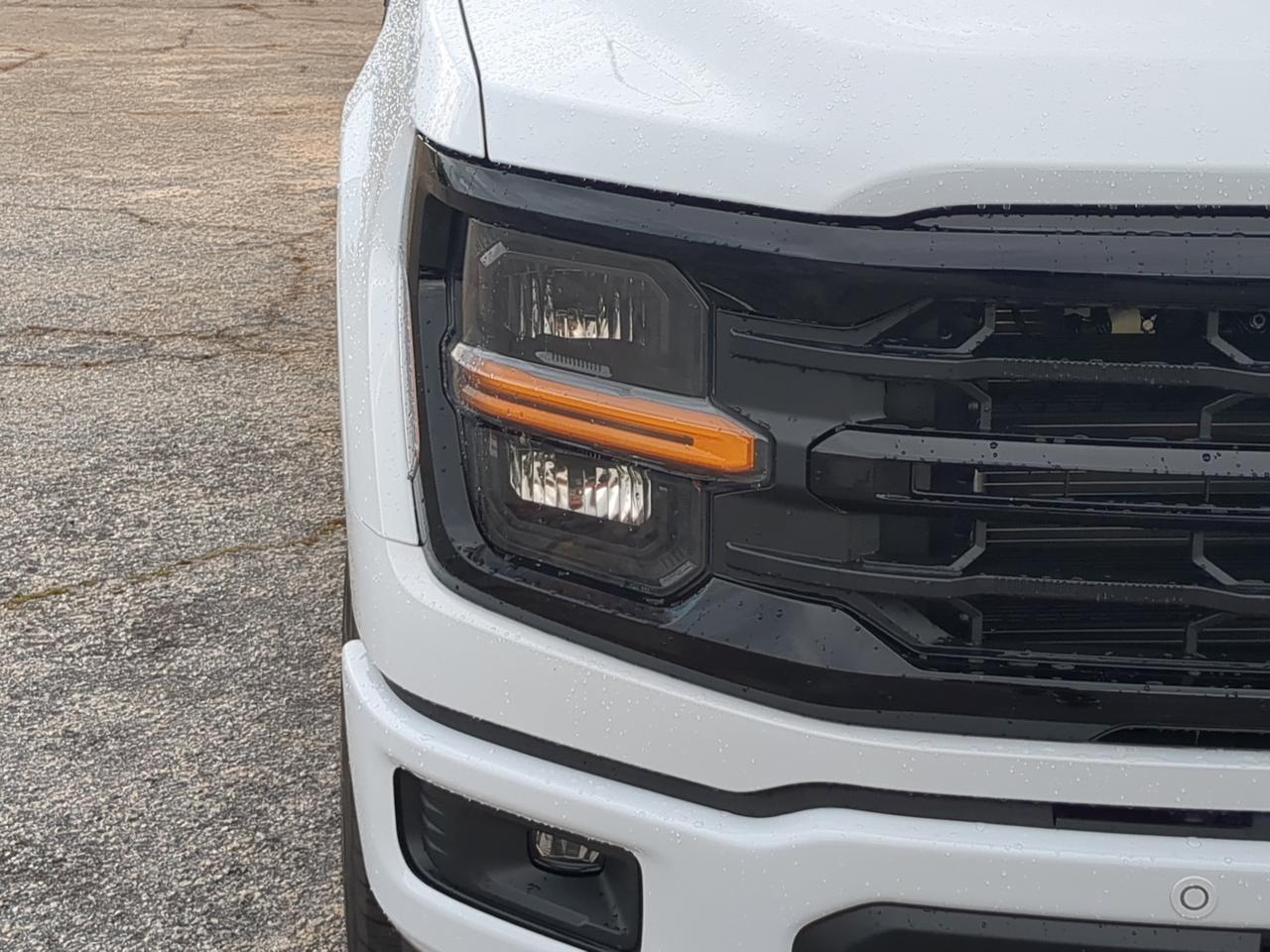 2026 Ford F-150 XLT Appleton WI
