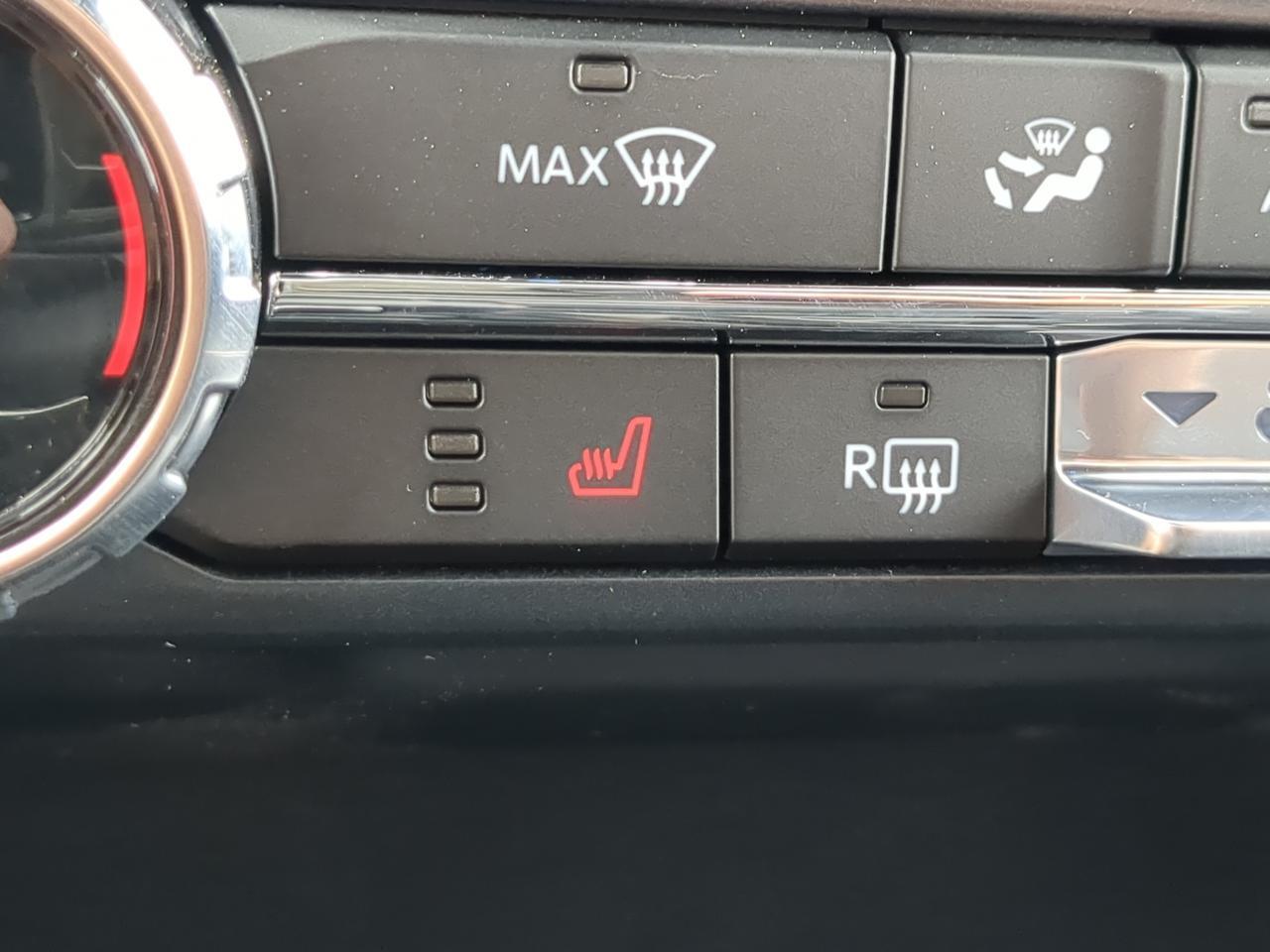 2026 Ford F-150 XLT Appleton WI