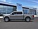 2026 Ford F-150 XLT Oshkosh WI