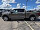 2026 Ford F-150 XLT Oshkosh WI