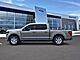 2026 Ford F-150 XLT Oshkosh WI